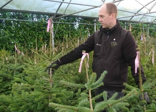 Martyn Choosing Christmas Tree